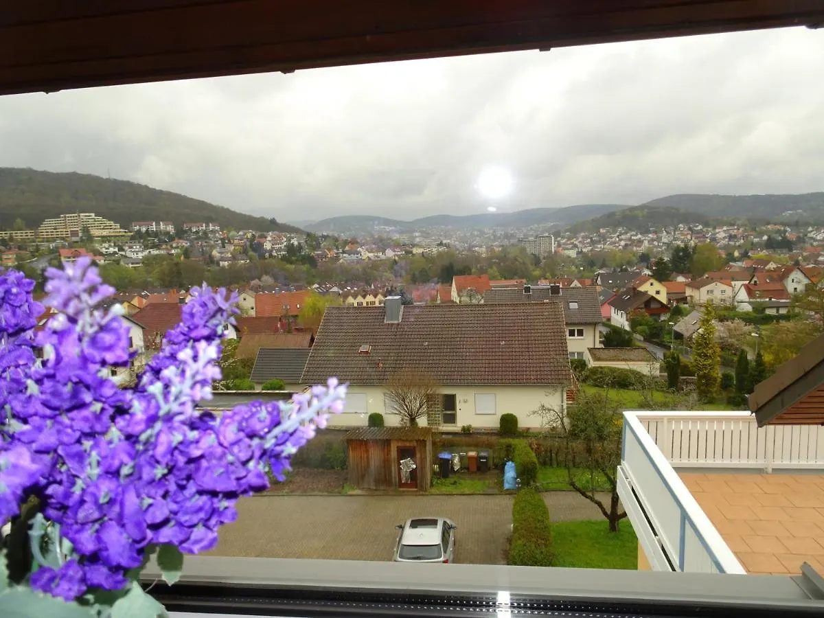 Apartment Haus Holzheimer Bad Kissingen